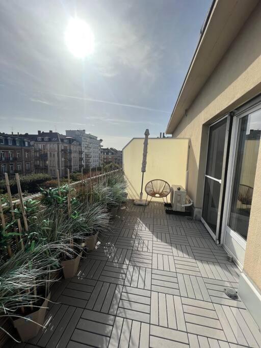 Appartement Cosy Orangerie Strasburgo Esterno foto