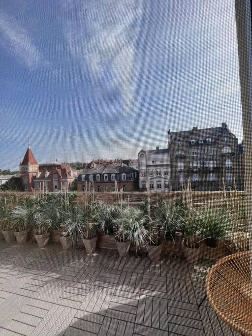 Appartement Cosy Orangerie Strasburgo Esterno foto
