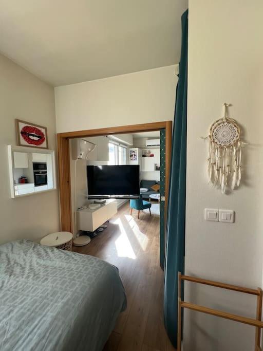 Appartement Cosy Orangerie Strasburgo Esterno foto
